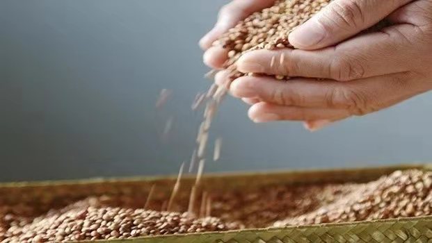 1572923676769310.jpg ec3a46c12bf9b76bf4d493e0b4183db.jpg