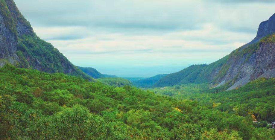 1573117182994275.jpg 3c5976bf489e32cd7a39ba1c5aa1de7.jpg