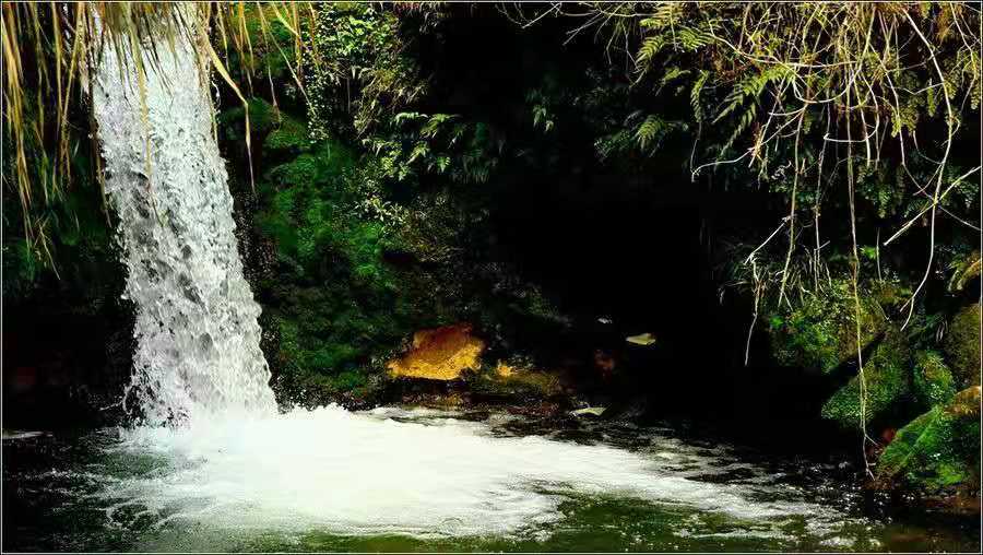 1573117188425334.jpg 5ccfb817e7639d38c4bdfd176a9b720.jpg